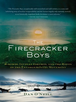cover image of The Firecracker Boys